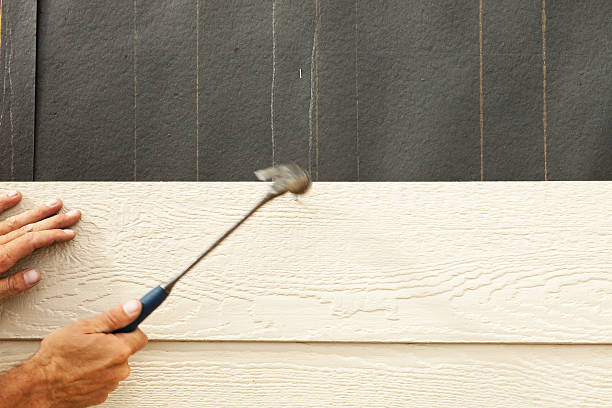Affordable Siding Repair and Maintenance Services in Carpendale, WV