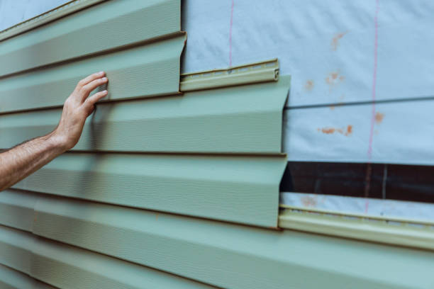 Best Fascia and Soffit Installation  in Carpendale, WV